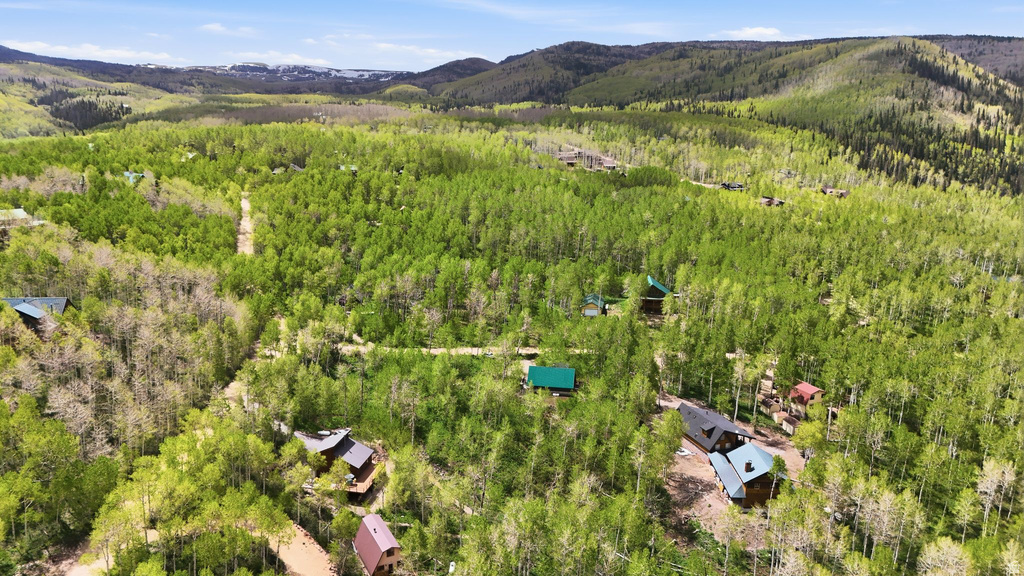 Expansive wooded terrain featuring multiple structures, verdant foliage, and a natural landscape
