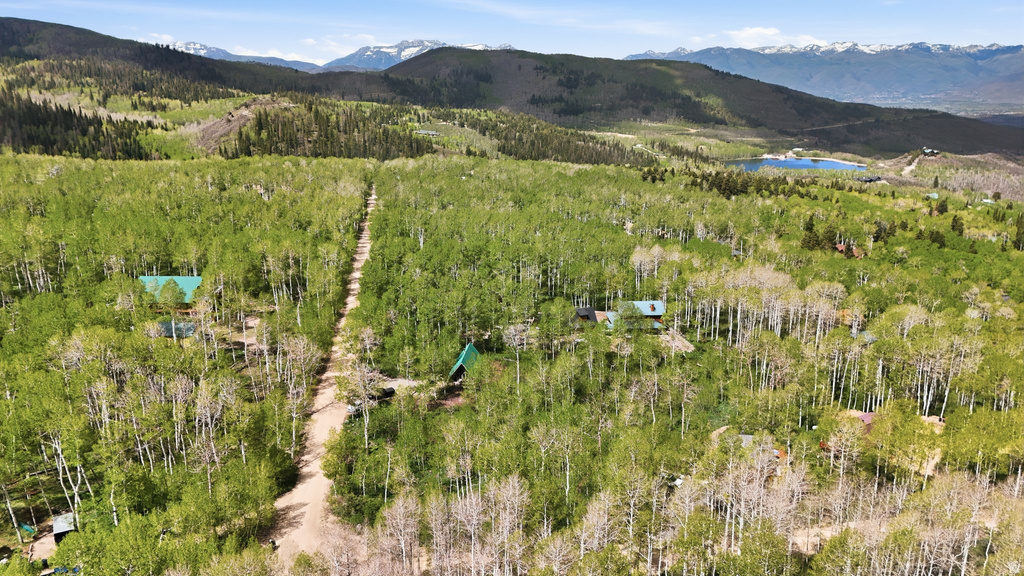 Extensive wooded property featuring a dirt access road, multiple structures with green roofs, a dense collection of deciduous trees, evergreen forest, and distant snow-capped mountains