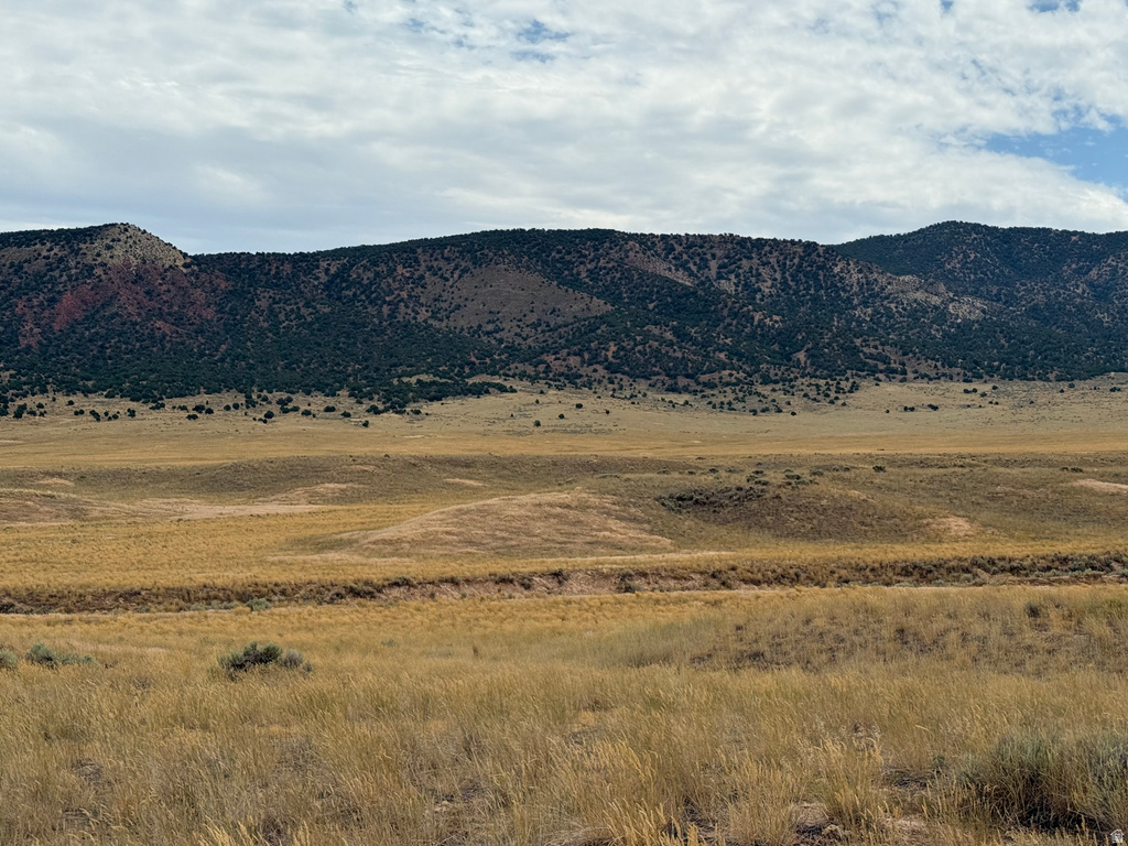 15 Old Dam Rd #15, Levan, UT 84639