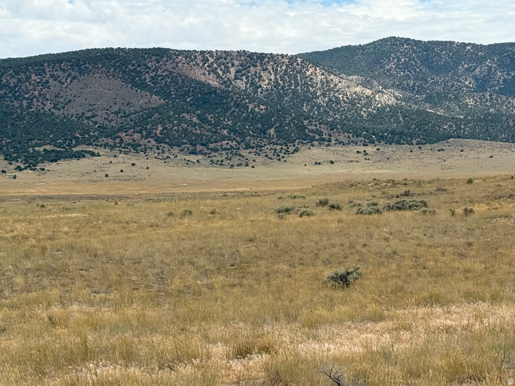16 Old Dam Rd #16, Levan, UT 84639