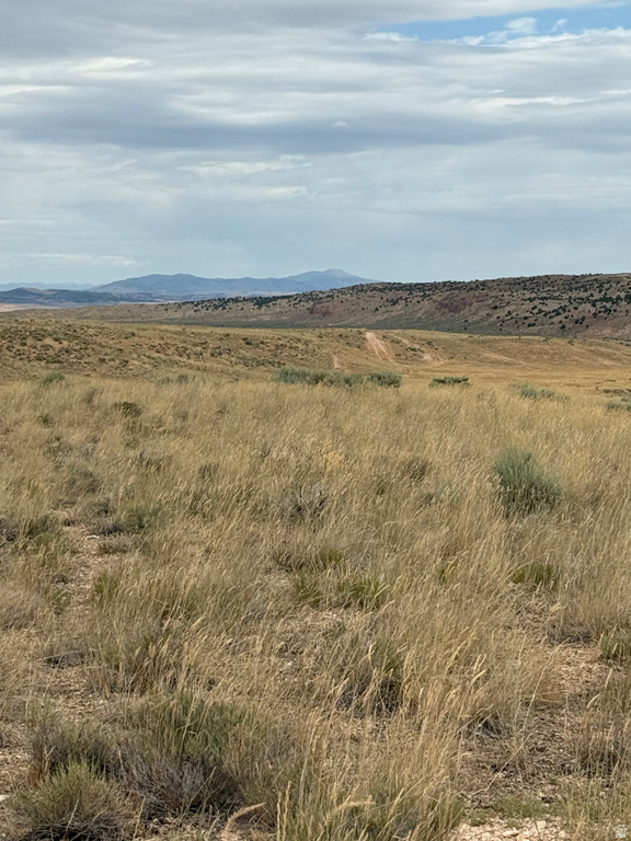 17 Old Dam Rd #17, Levan, UT 84639