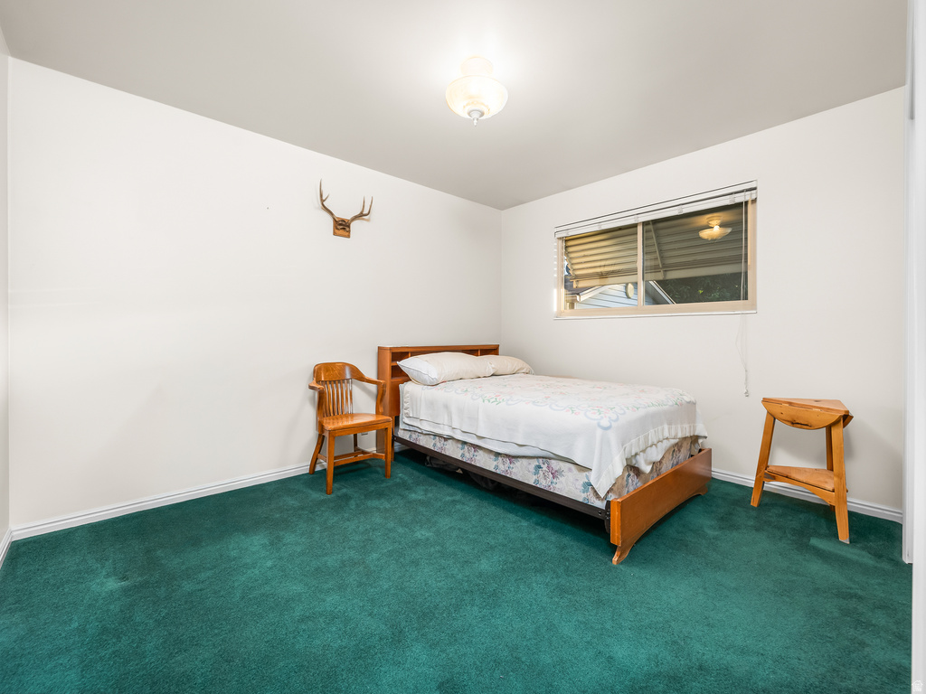 Room featuring plush green carpeting, white baseboards, and a single window with blinds