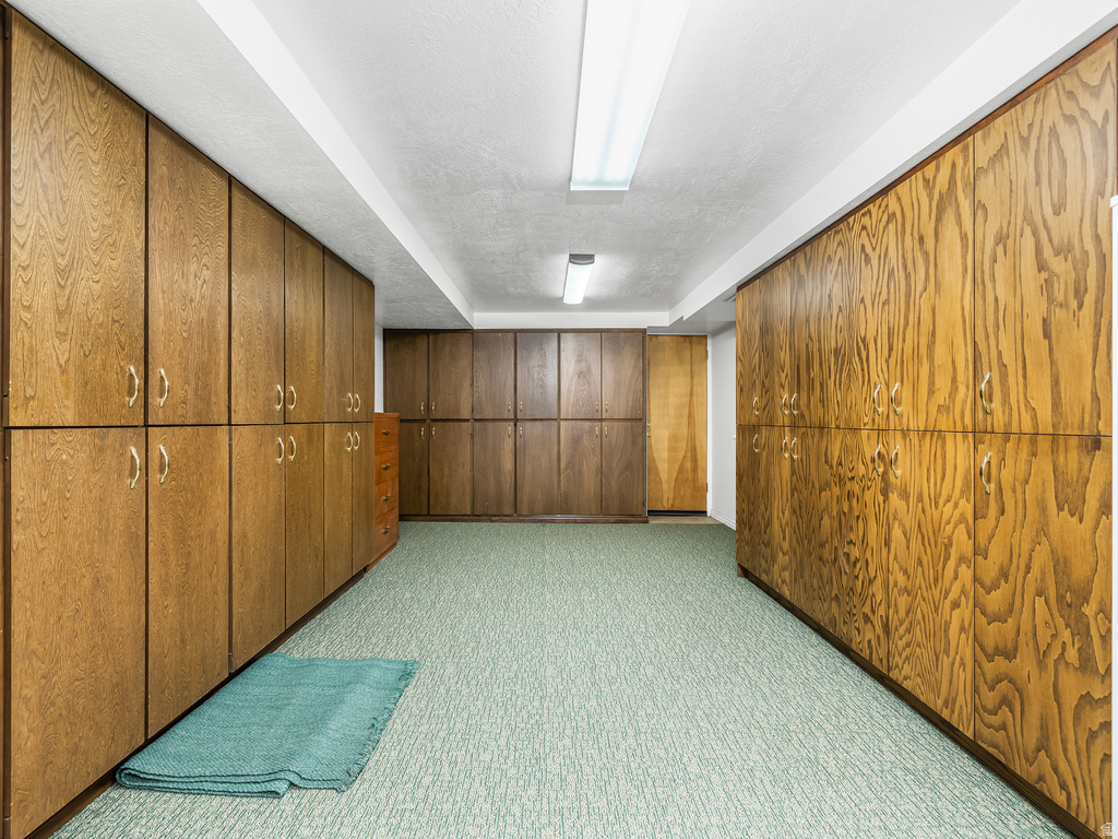 Spacious storage room featuring extensive wood-finish cabinetry, neutral carpeting, and fluorescent lighting