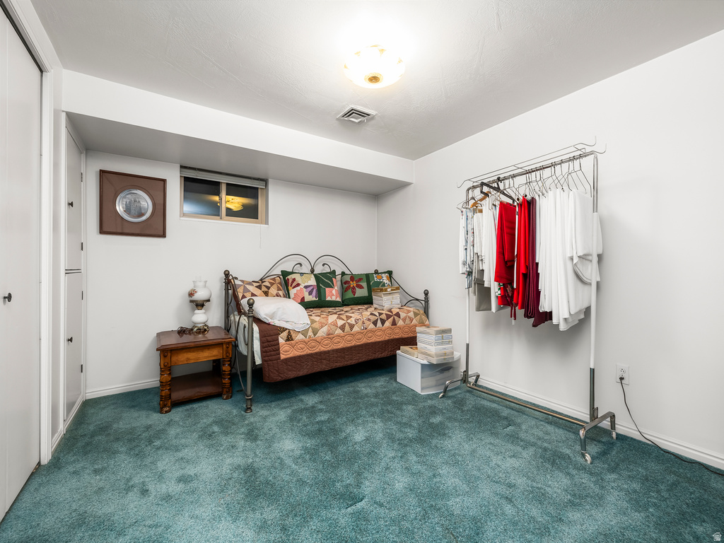 Room featuring teal carpeting, white walls, built-in closet storage, and a single window