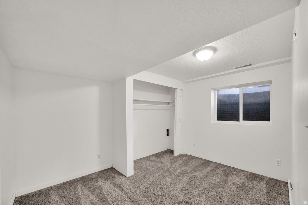Neutral paint palette, textured carpeting, built-in closet with shelving and hanging rod, flush-mount ceiling light, and a horizontal sliding window