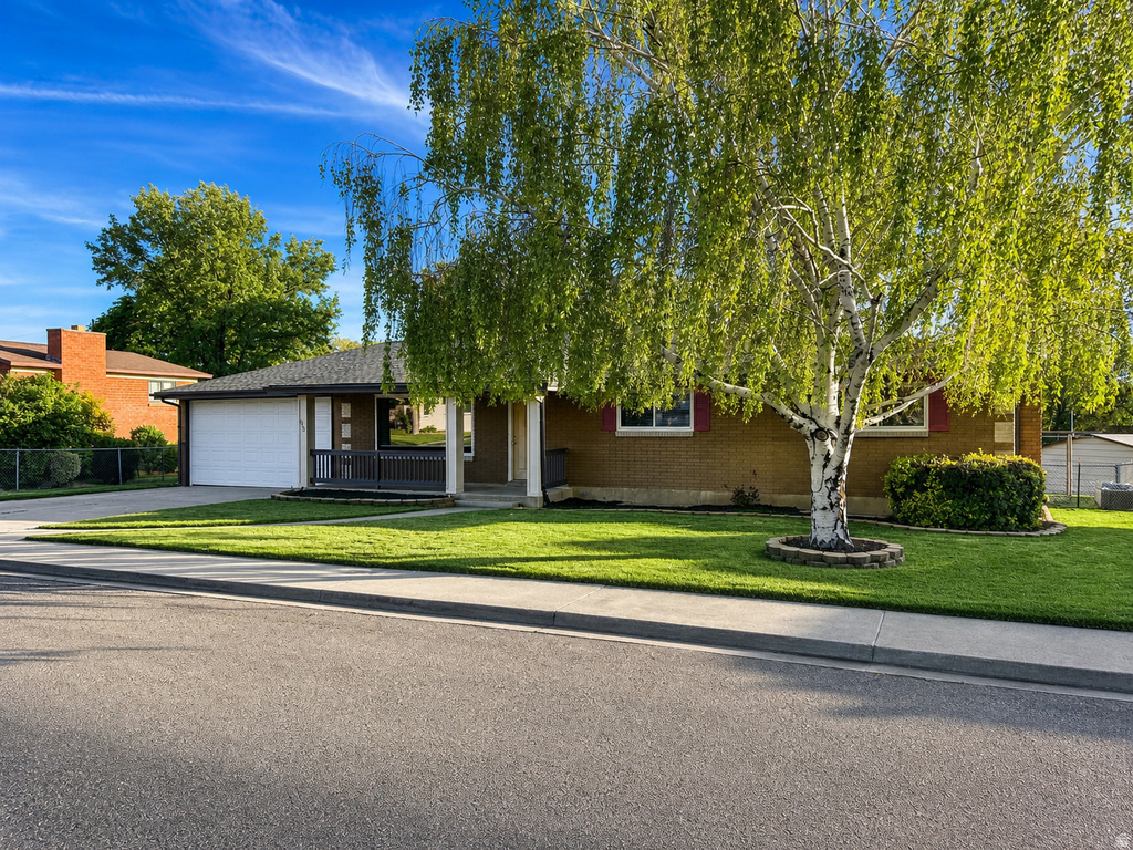 813 WHIPPLE DR photo 2