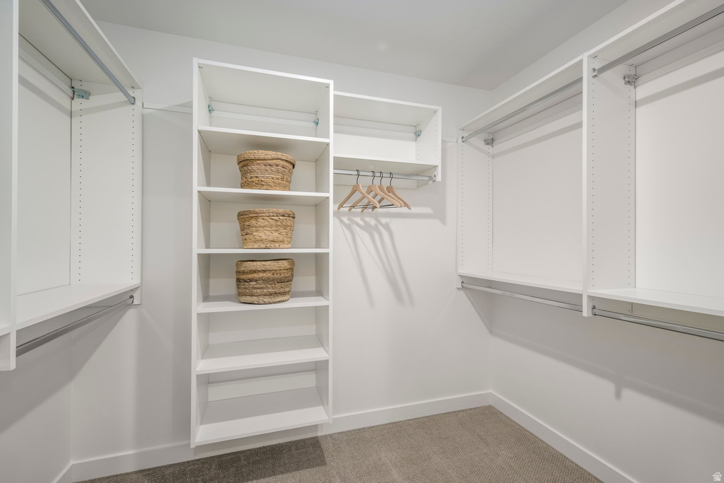 Walk-in closet featuring built-in white shelving, hanging rods, and neutral carpet flooring