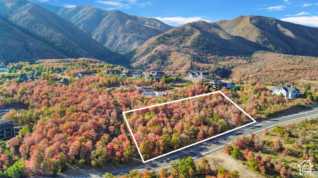 View photos for 1030 S Bear Hollow Dr 1030 S Bear Hollow Dr