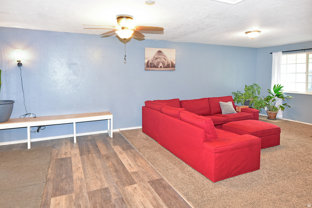 315 PARK ST photo 5