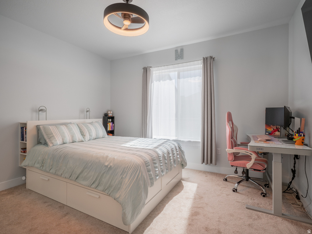 Bright bedroom featuring a large window with privacy sheers and drapery, neutral carpet flooring, a contemporary ceiling light fixture, and light gray wall tones