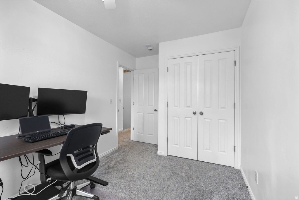 Light gray carpet flooring provides a neutral base in this room with white walls and a white ceiling