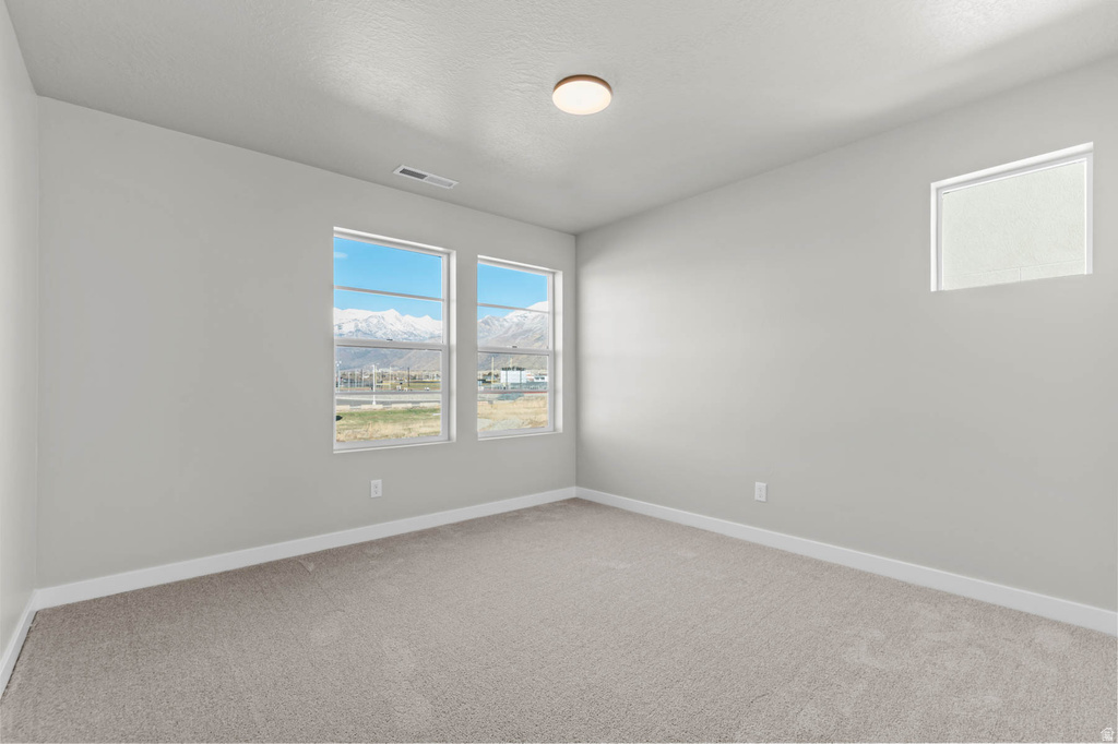 Carpeted room featuring light gray walls and white trim