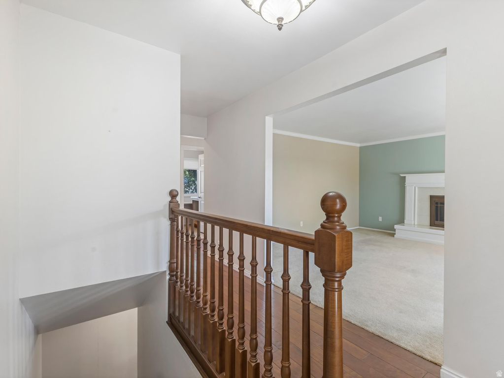 164 W 1880 N photo 5