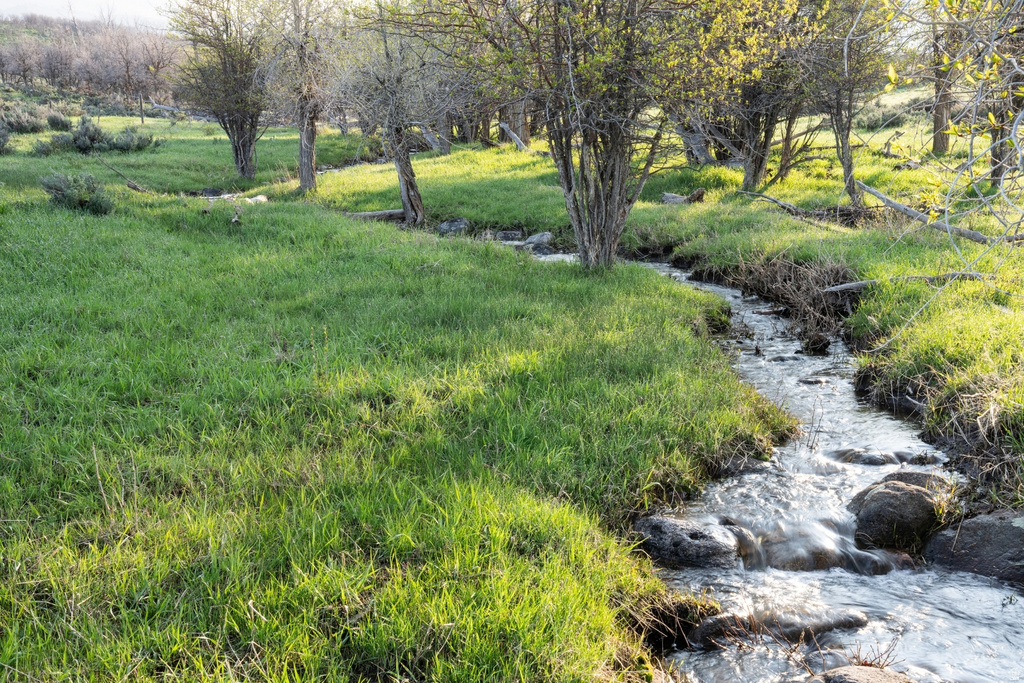 Natural stream with clear water and dark rocks