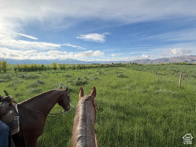 Expansive green acreage with distant mountain ranges and a clear blue sky
