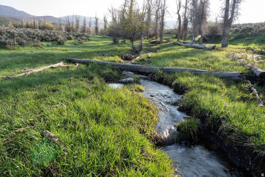 Natural stream flowing through a grassy expanse