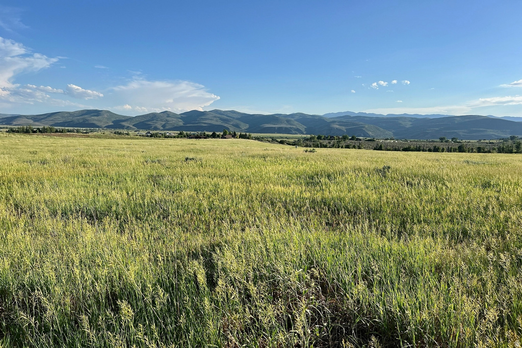 Expansive open field with natural grasses, framed by distant rolling mountains and a clear sky