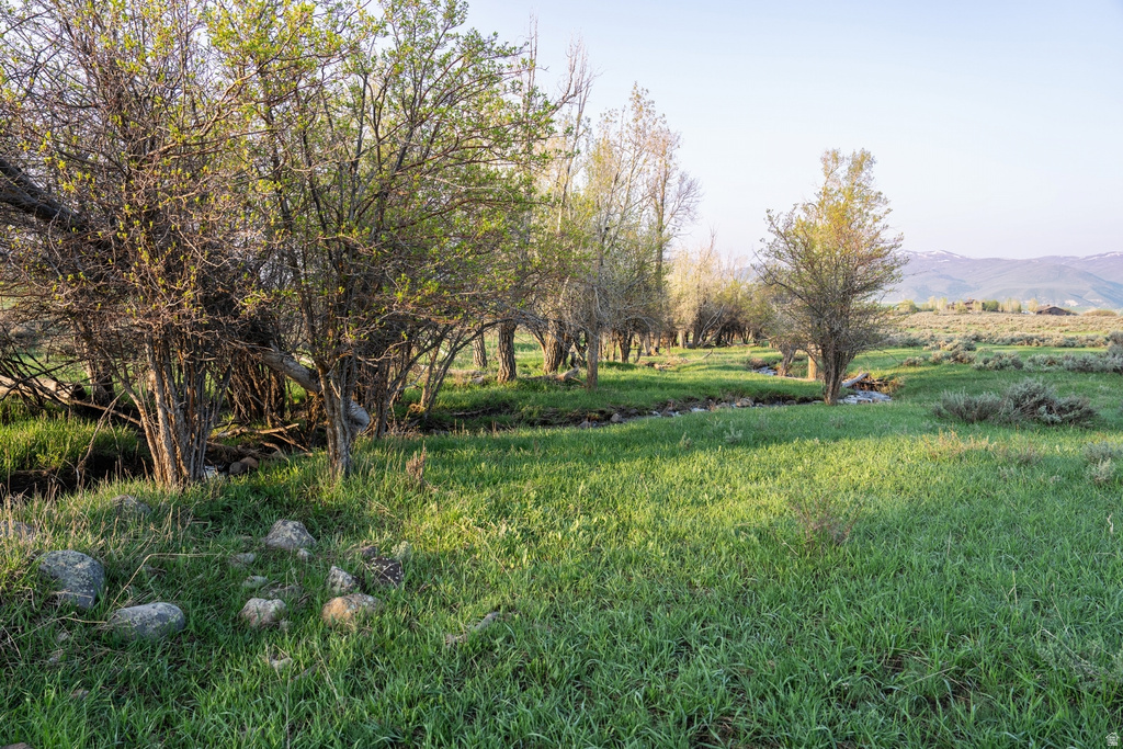 Expansive grassy terrain featuring scattered trees and a natural watercourse