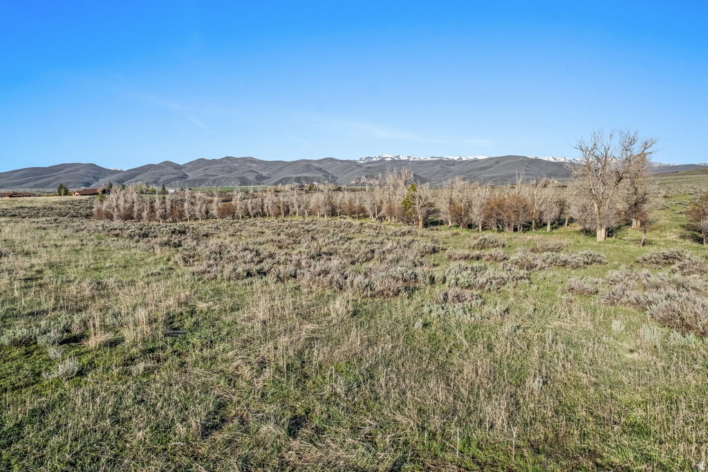 Expansive open land featuring natural grasses and sparse brush
