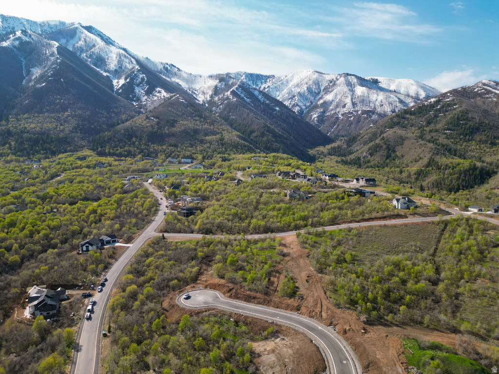 Aerial depiction of a development site featuring paved roads, scattered modern homes, and a mountainous backdrop with snow-capped peaks