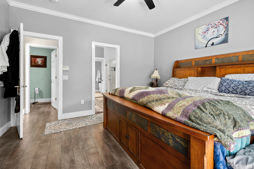 Spacious bedroom featuring wood-finish flooring, crown molding, and two recessed doorways