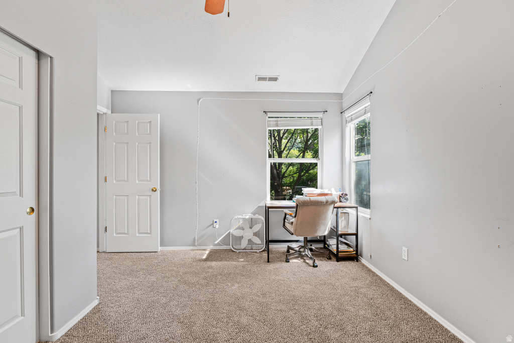 14098 S Candy Pull Dr — photo 24