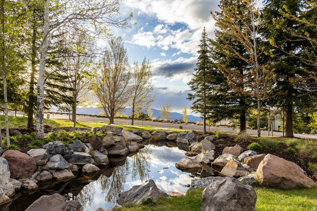 Natural water feature with rock landscaping