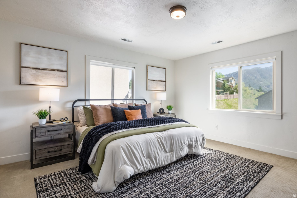 Bright bedroom with neutral wall finishes and carpet flooring