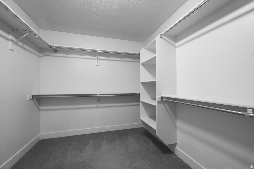 Walk-in closet featuring built-in shelving, multiple hanging rods, white walls, white trim, and grey carpet flooring