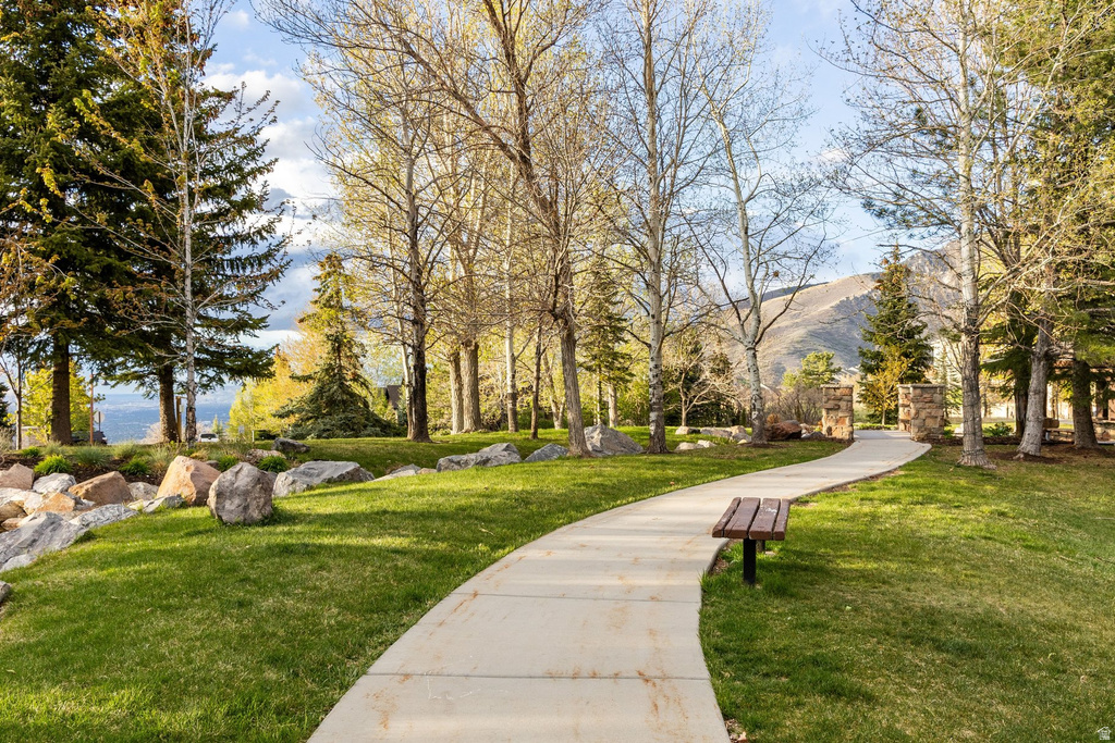 Manicured green spaces featuring a winding concrete pathway, mature trees, and natural rock landscaping elements
