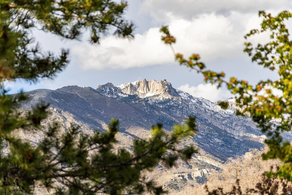 Mountain range backdrop featuring rugged peaks, snow-dusted slopes, and scattered evergreen trees