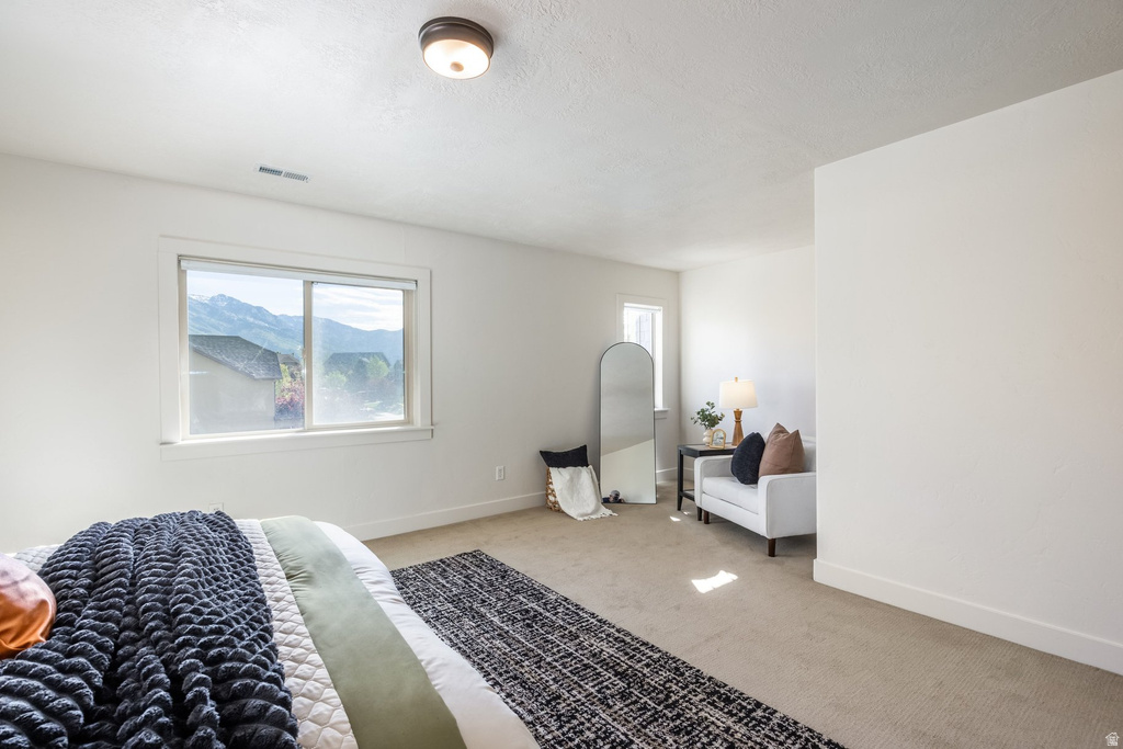 Spacious room featuring neutral carpeting, white walls, and a recessed window with a mountain backdrop
