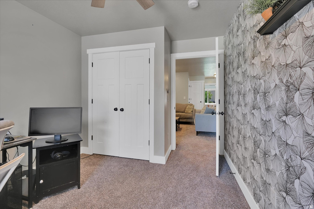 Light gray wall paint, white trim, and a bi-fold closet with black hardware