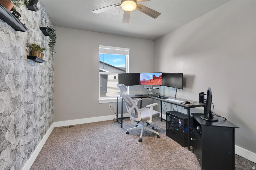 Carpeted room featuring a single window and a ceiling fan with integrated lighting