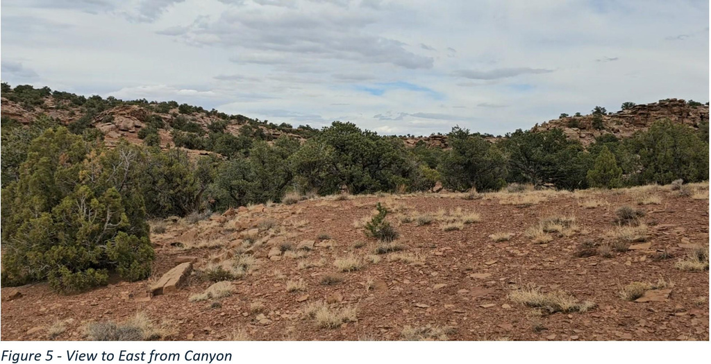 Torrey, UT 84775