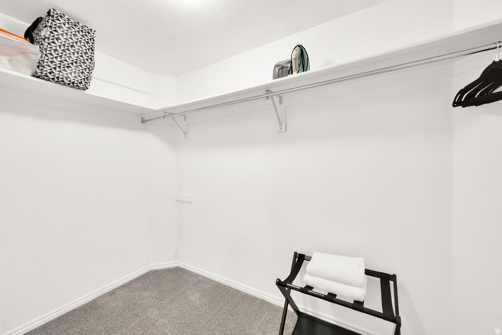 Spacious walk-in closet featuring white walls, gray carpeting, and integrated shelving with hanging rods