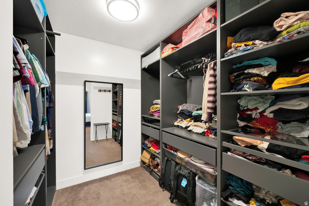 Custom closet system featuring dark cabinetry, integrated shelving, and built-in drawers