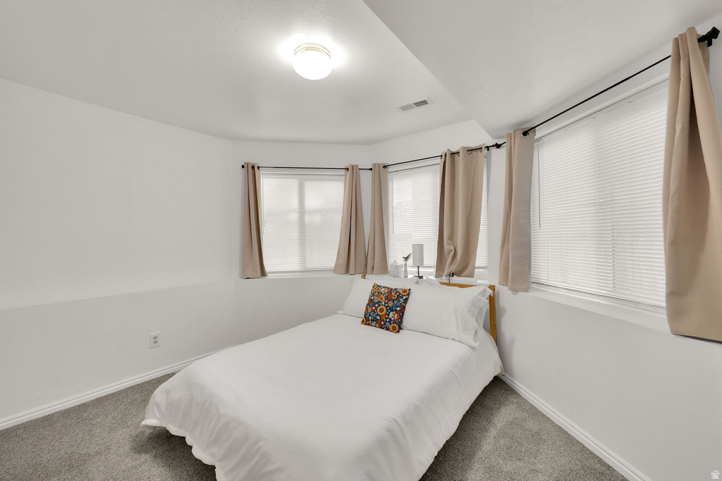 Carpeted room featuring multiple windows with blinds and drapes, white walls, and a flush-mount ceiling light fixture