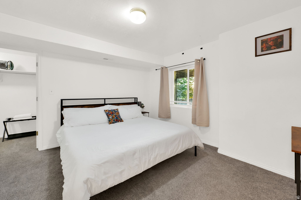 Carpeted bedroom featuring a single window with blinds, a flush-mount ceiling light fixture, and an open doorway revealing a closet with shelving