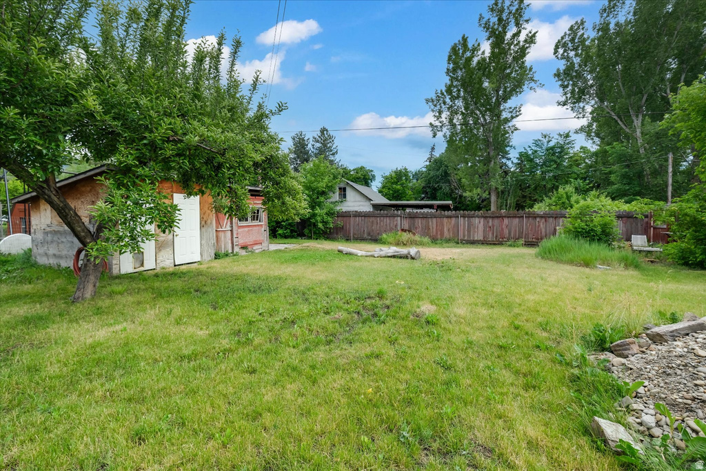 Expansive grassy yard featuring a mature shade tree, a wooden utility shed, and a perimeter wood fence