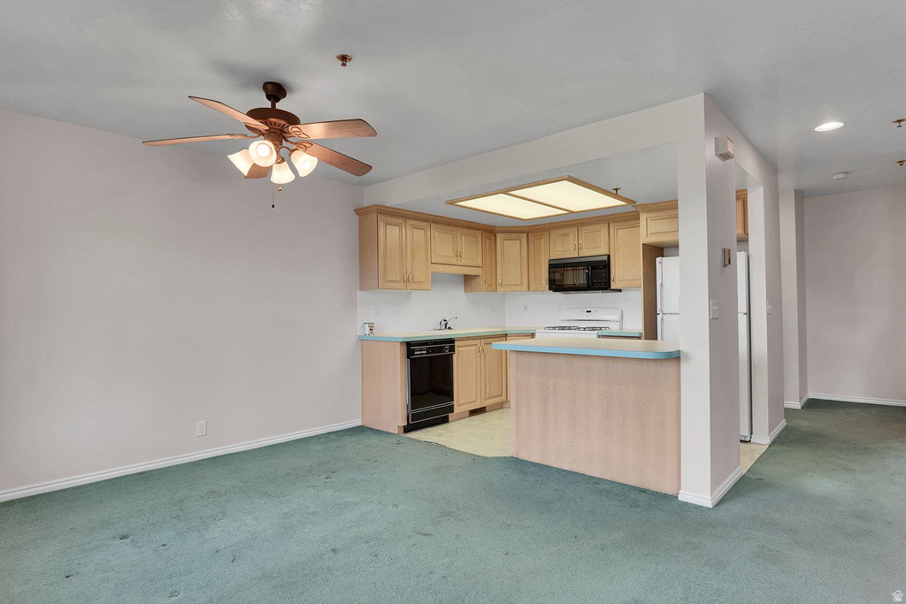 1030 OBERLAND DR photo 5