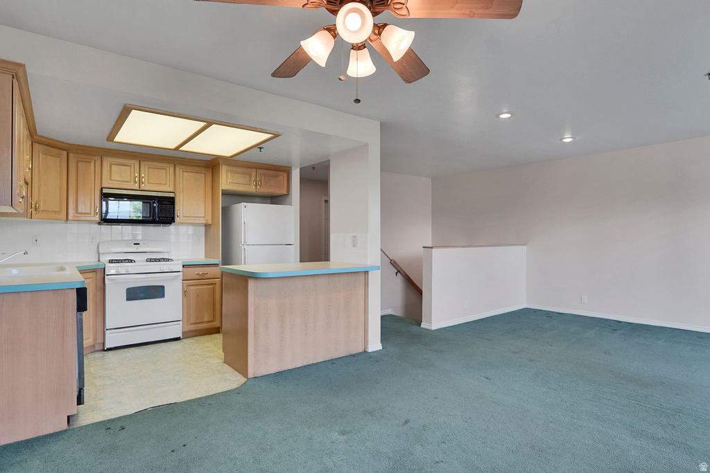 1030 OBERLAND DR photo 3