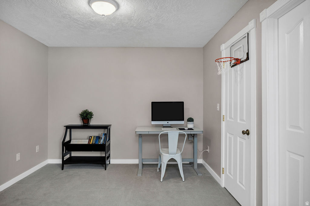 Light grey wall paint and carpeted flooring define this room, featuring a flush-mount ceiling light fixture