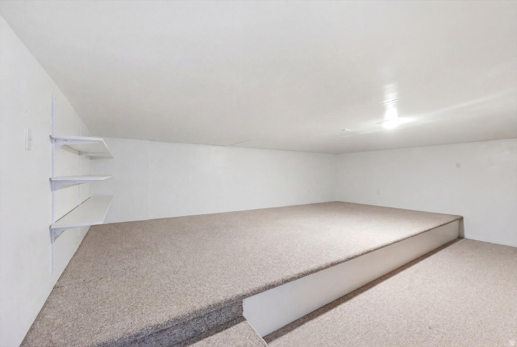 Carpeted raised platform area featuring white walls, built-in shelving, and ceiling-mounted lighting