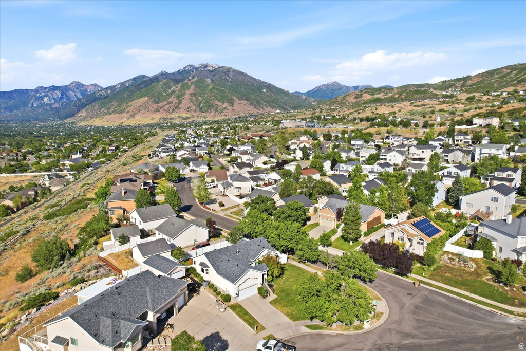 Residential neighborhood featuring diverse home styles and mature landscaping