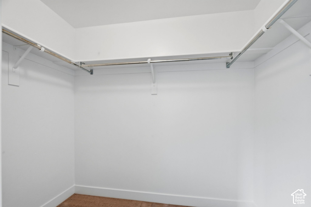 Walk-in closet with white walls, white trim, and carpet flooring