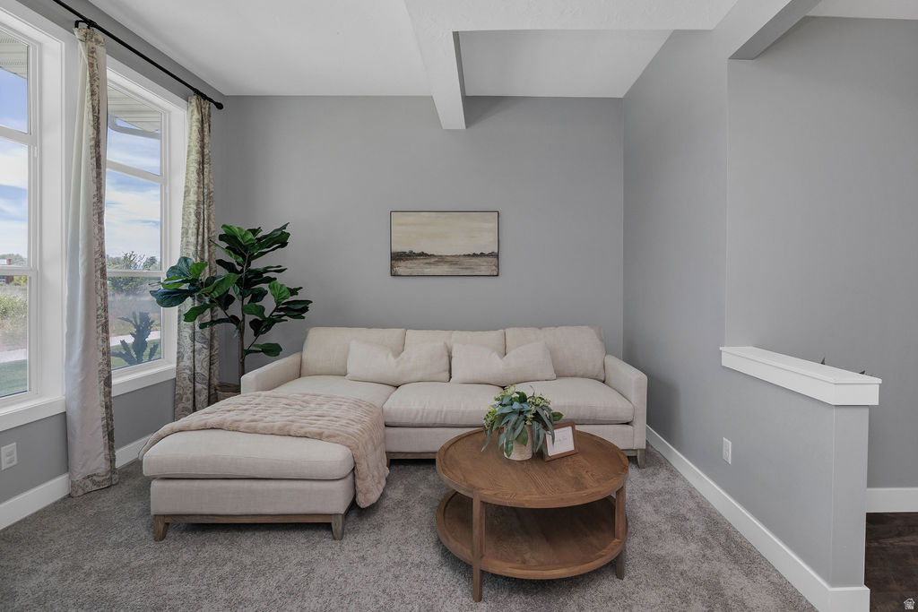 2483 S 1296 W photo 4
