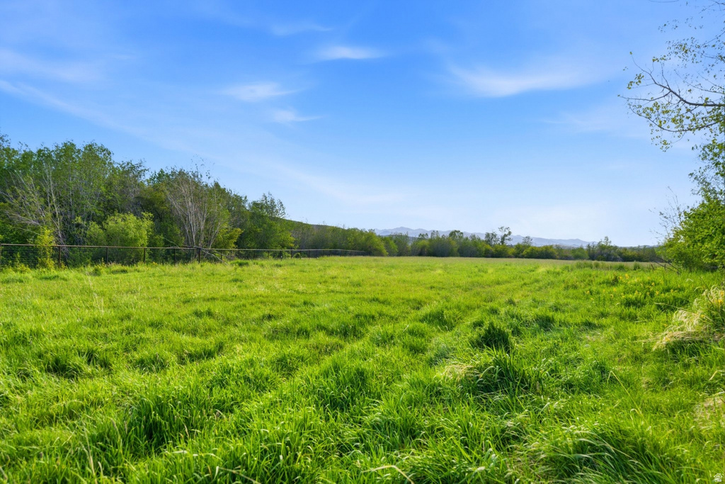 Expansive green field featuring mature trees along the perimeter and distant mountain scenery