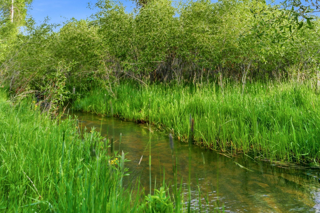 Natural waterway featuring clear water and lush green vegetation