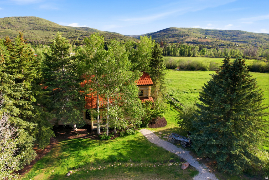Rustic dwelling featuring a prominent red-orange roof, surrounded by mature evergreen and deciduous trees